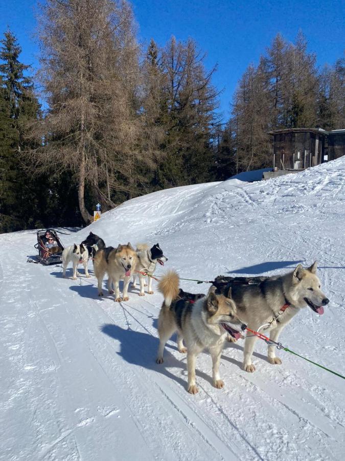 ラ・プラーニュPlagne Bellecote - 5 Pers - Vue Pistes - Acces Piscine Chauffeeアパートメント エクステリア 写真